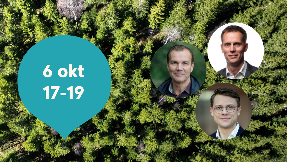 Bakgrund av skog - tre cirkelfoton med en man som tittar in i kameran och ler,