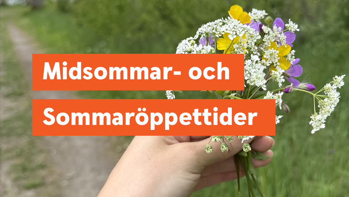 En hand håller i olika sommarblommor, Orange textblock med texten: Midsommar- och sommaröppettider