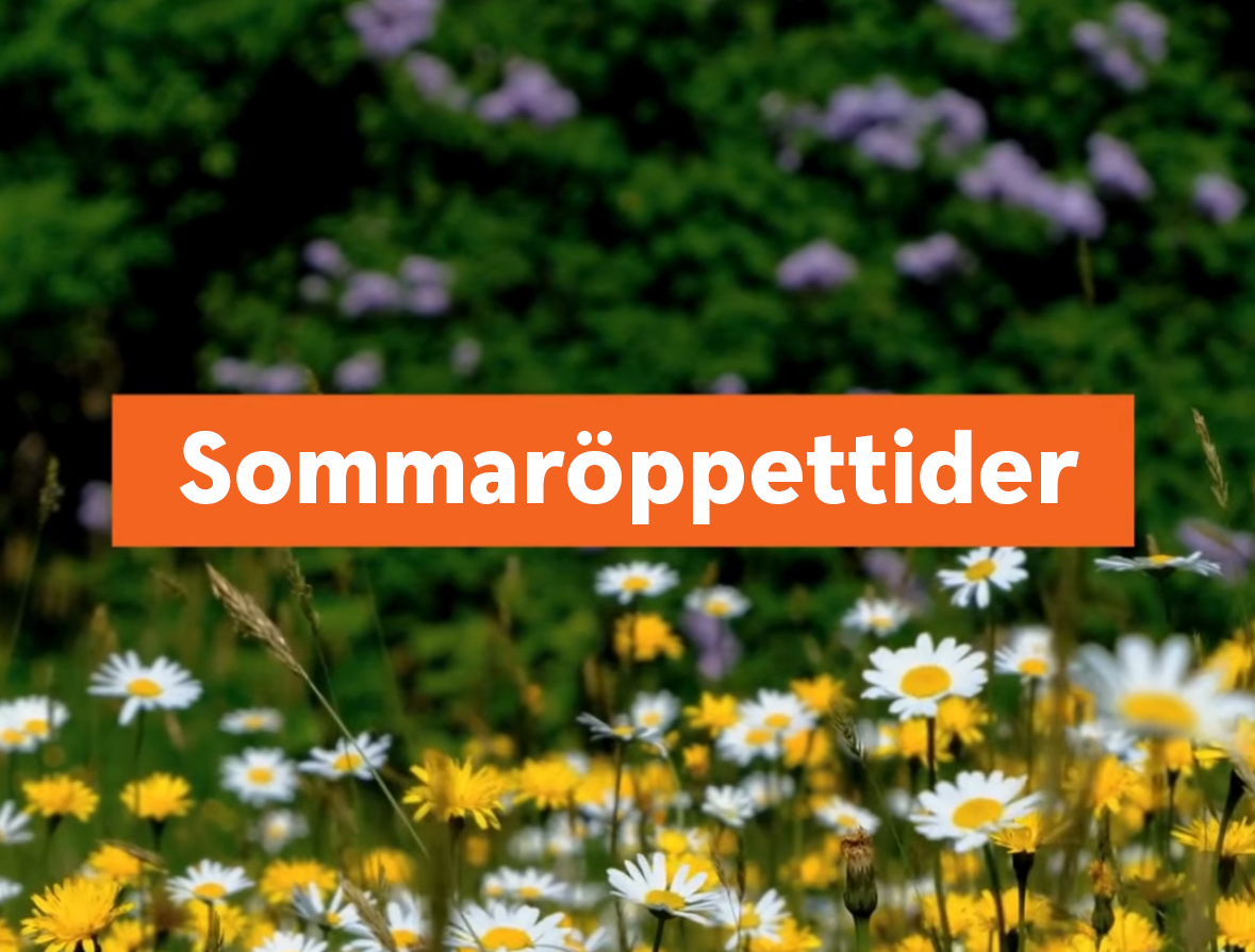 Textbanner i orange på en bild av sommarblommor med texten Sommaröppettider