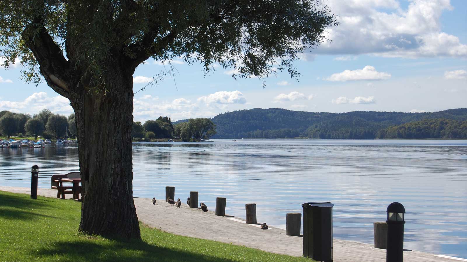 Vy från brygga över en sjö