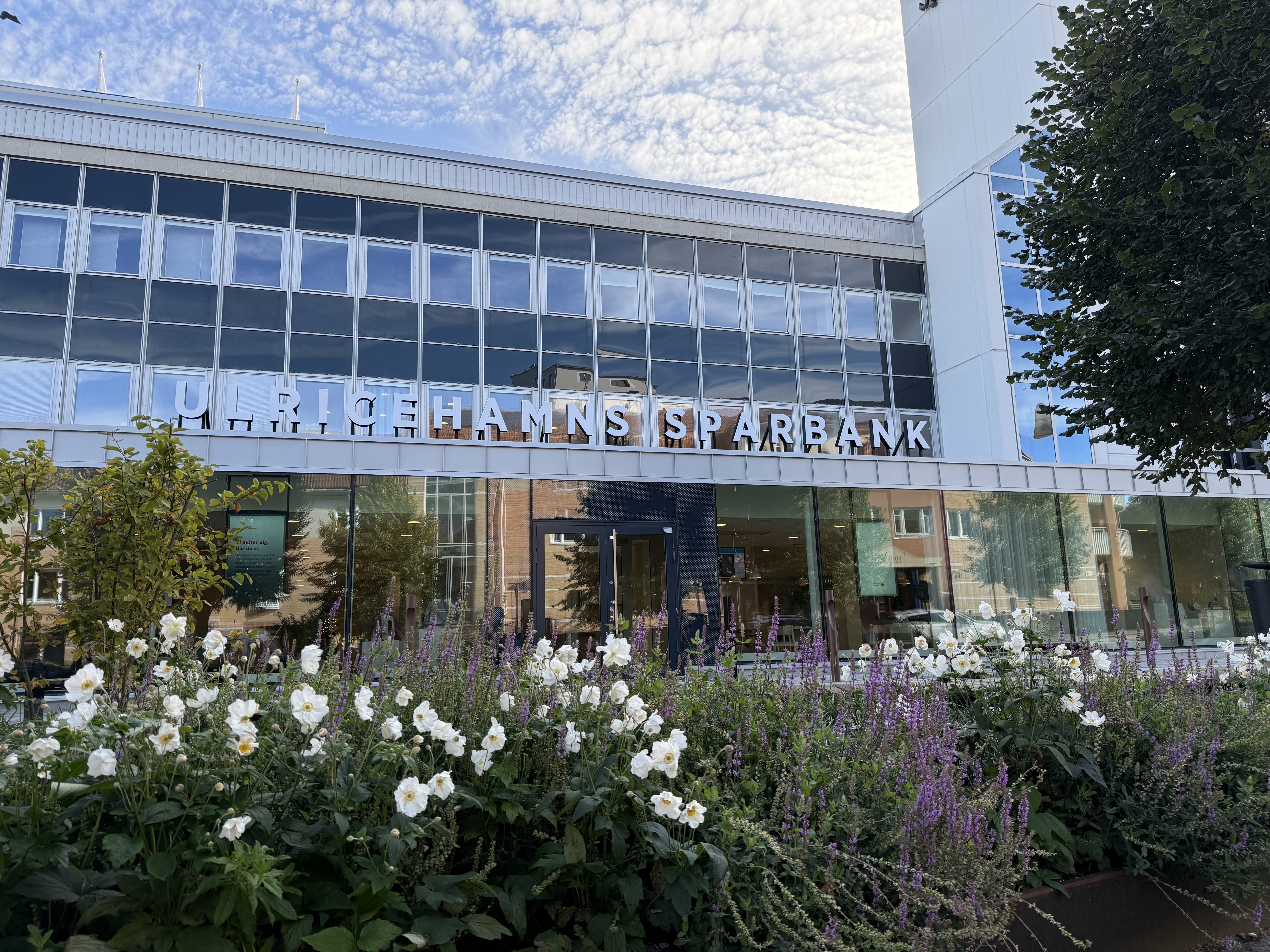 Blommor och grönt i förgrunden till en entre till ett bankhus