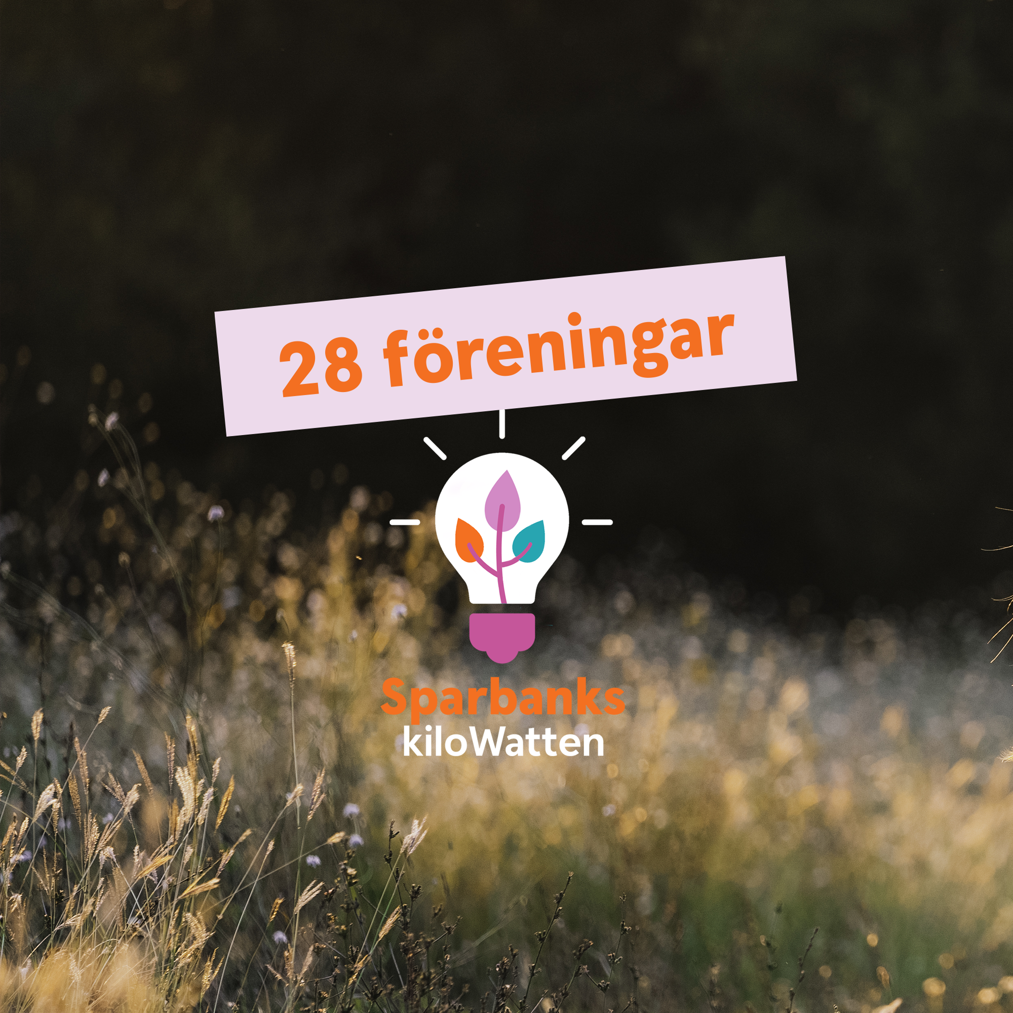 Logotype SparbankskiloWatten - en glödlampa med löv inuti - text 28 föreningar